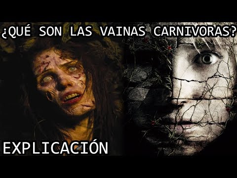 ¿Qué son las Vainas Carnivoras? EXPLICACIÓN | Las Vainas Depredadoras de Las Ruinas EXPLICADAS