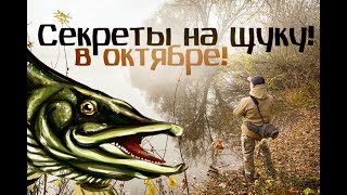 Как ловят щуку в октябре на реках