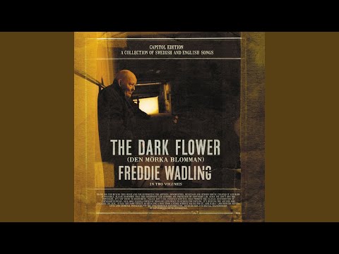 Jennifer Ditt Hår Brinner - Freddie Wadling