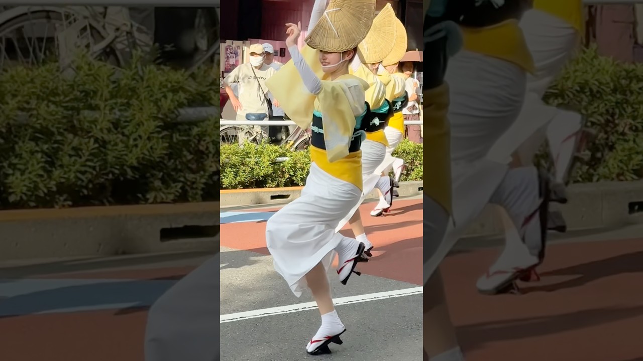 #阿波踊り #阿波おどり 天狗連 #祭り #beautifulmusic #阿波舞 아와오도리