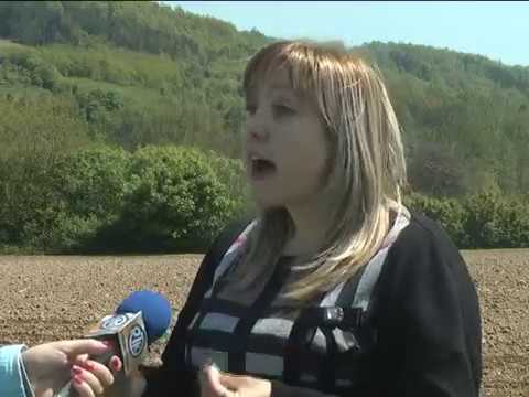 Neophodno obaviti tretmane zaštite zasada koštičavog i jabučastog voća i pšenice