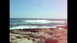 Tindersticks - Seaweed