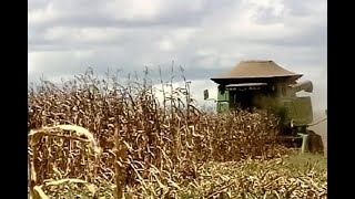 Miniatura do vídeo