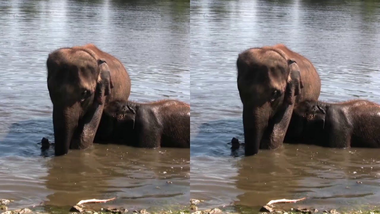 Bcc flickr fixer free download pc Bcc flickr fixer free download pc