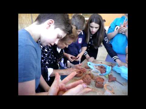 Vídeo Instituto As Bizocas