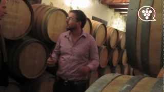 preview picture of video 'La Perla del Priorat 1ª parte (Visita)'