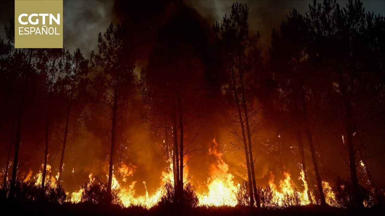 Más de 220.000 personas evacuadas en Francia a medida que se extienden los incendios forestales
