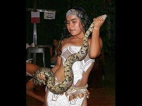 Harmony - Anaconda