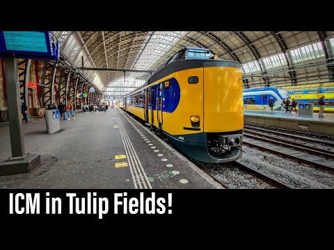 Trein Cabinerit / ICM in de bloemenvelden / Den Haag - Haarlem - Amsterdam / Intercity / Mei 2021
