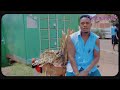 LEMBE SAKAJA UNCLE EDDY INTRO MIX BY DJ BOGISIDE OFFICIAL VIDEO MP3
