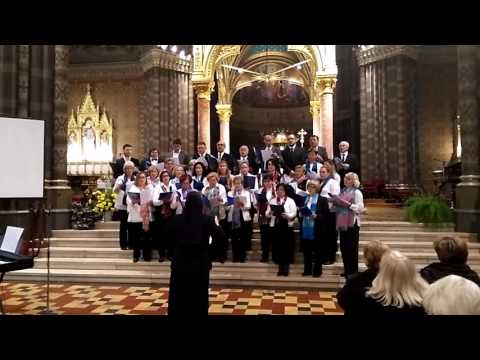 Rosite nebesa odozgor