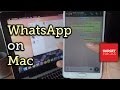 Use WhatsApp on Your Mac (A Guide for Both Android & iPhone Users) [How-To]