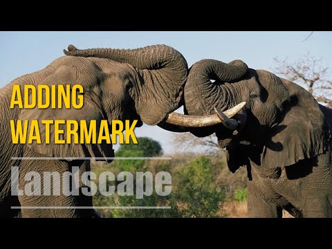 How to Create a Poster Flyer Design in Adobe Photoshop Tutorial DJ Club Party Poster Design 2021