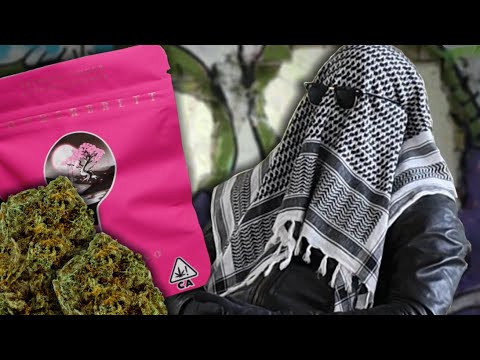 Cannabis | Cali-Weed, Media & Dangers | Documentary