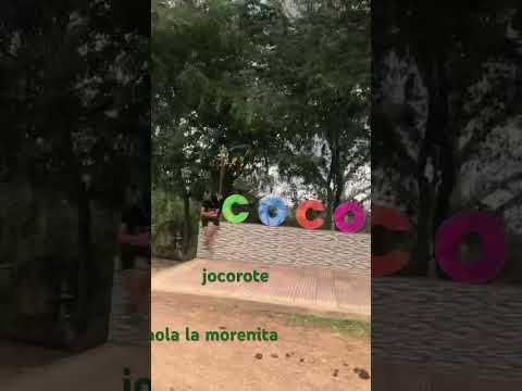 Cocorote sucre corregimiento de since sucre