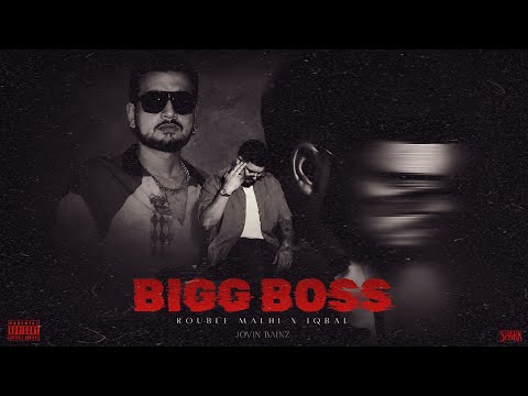 Bigg Boss — watch video