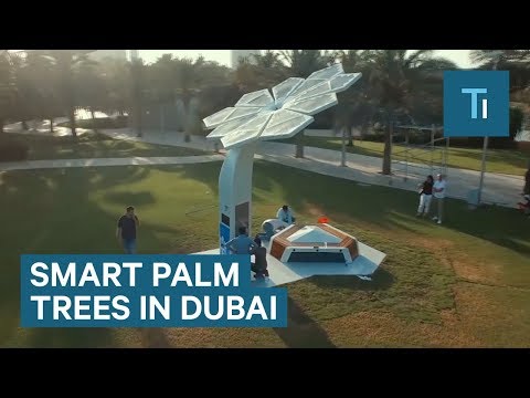 These smart palm trees in Dubai can charge your phone and provide free Wi-Fi - YouTube
