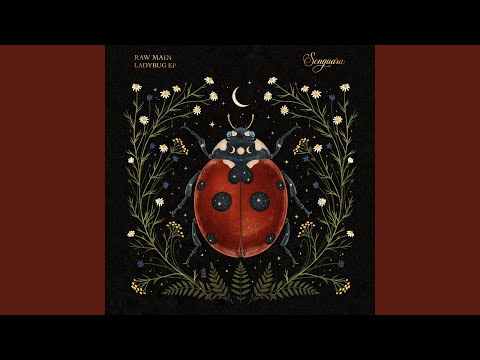Ladybug (Extended Mix)