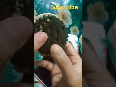arun ice cream biscuits 😋🥳# short