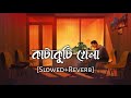 Katakuti khela | slowed and reverb | Shaan and Shreya Ghoshal | Lofi Songs | 10 PM BENGALI LOFI