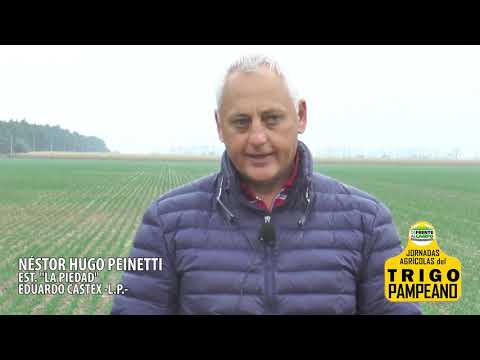 NÉSTOR HUGO PEINETTI - DE FRENTE AL CAMPO junto al SECTOR PRODUCTIVO -