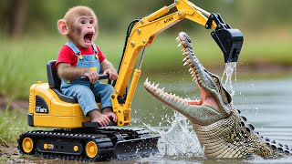 Download lagu 🔥🐒 Monkey NaNa Digs a Water Channel to Save the Fish… But a Ferocious Crocodile Jumps Out! 🐊😱 mp3 Download lagu 🔥🐒 Monkey NaNa Digs a Water Channel to Save the Fish… But a Ferocious Crocodile Jumps Out! 🐊😱 mp3