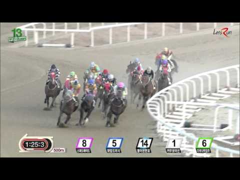 Doraon Hyeonpyo- Busan Racecourse December 27, 2015