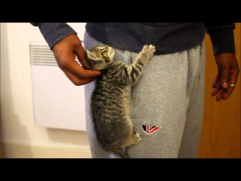 Oshii in Love with Ay