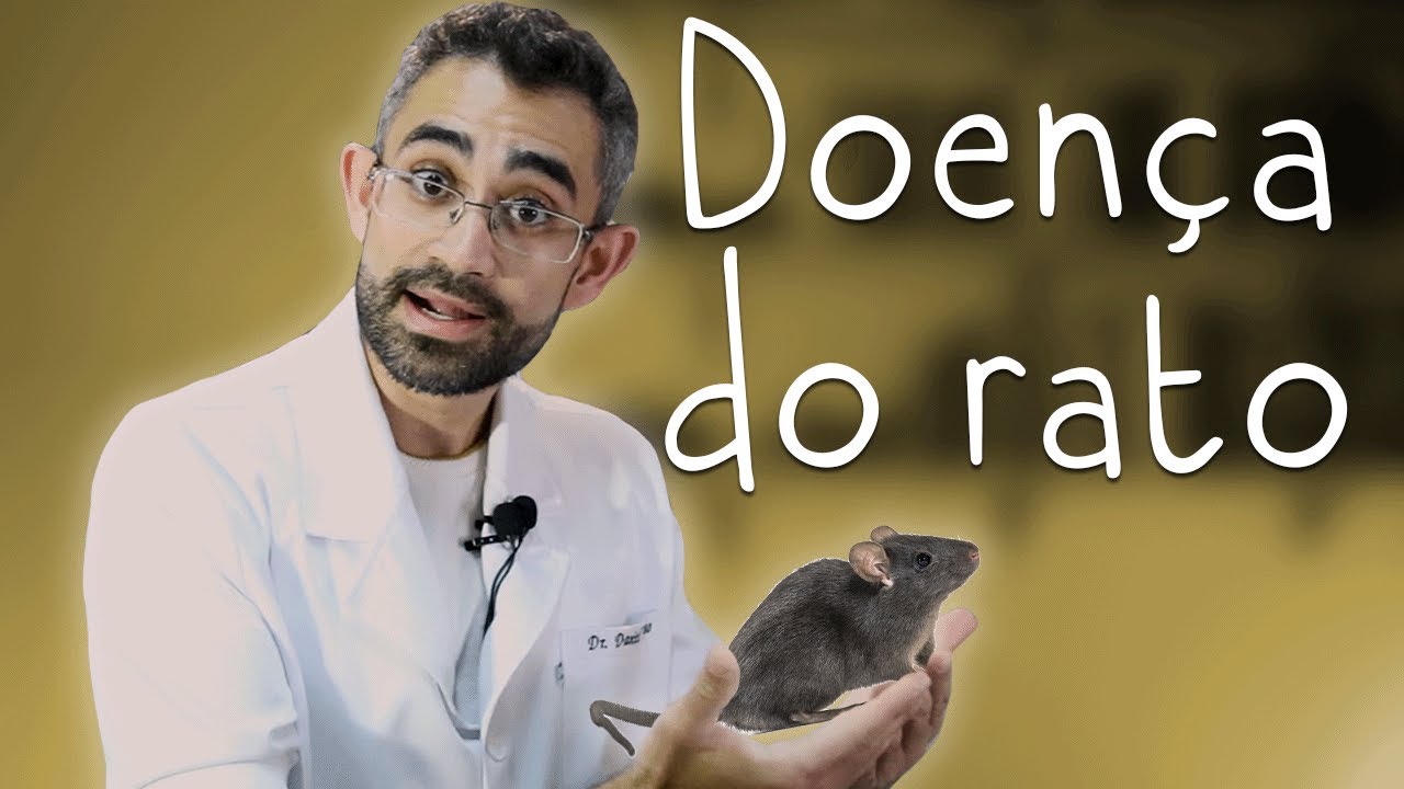 Leptospirose | Dica Veterinária #84