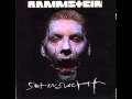 Rammstein - Küss mich (Fellfrosch) 