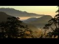 The Country Gentlemen- Turkey Knob