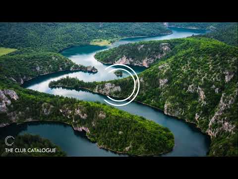 MIICHII, LEILAXMAREK - Someone (Extended Mix) [WAYU Records]