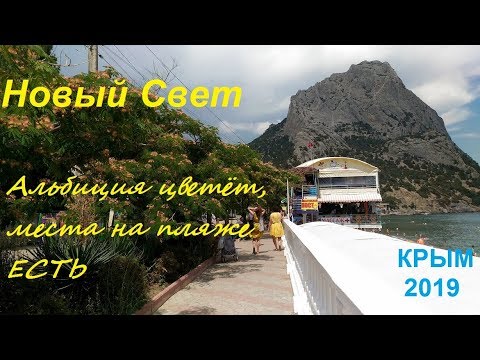 Крым, Новый Свет 2019, Пляж, Набережная 24 июня. Цветет альбиция, места под солнцем есть