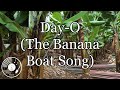 Day-O (The Banana Boat Song) w/ Lyrics - Harry Belafonte Version