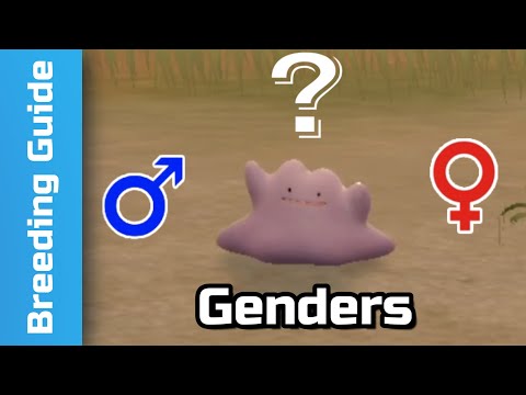 What Pairs Give Eggs? Gender Guide | Pokemon Scarlet & Violet (3)