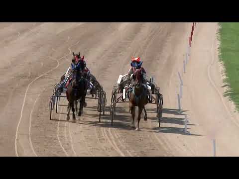 2022.08.27. 03. futam - COM MUSCLE DÍJ