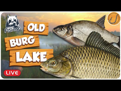 Fishing Old Burg Lake! [LIVE] | Russian Fishing 4 (RF4)