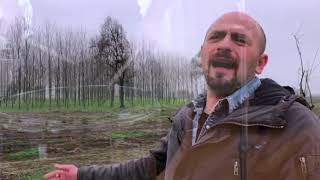 UNA NUOVA CANZONE PER LEI