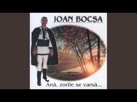 Lumea Asta Nu-I A Me'