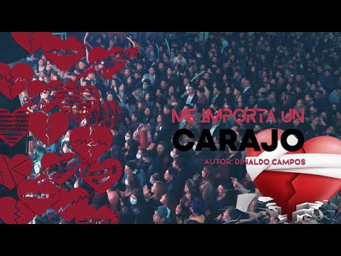 ME IMPORTA UN CARAJO - LOS GENIOS (RENZO GARCIA)
