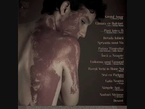 iRonic cu Bogdan Ioan & Pazzo - Pana intr-o zi - versuri