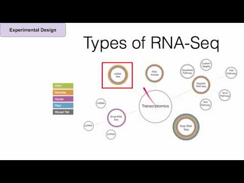 Introduction to RNA-Seq for Researchers