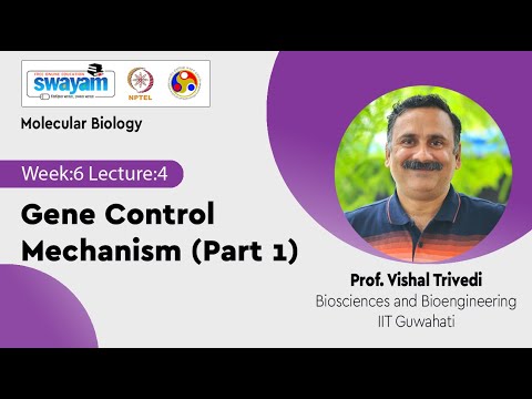 Molecular Biology Introduction Video