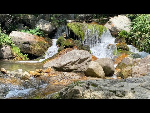 Roca Colom i Costabona des de Vallter 2000 i baixant per la Riera de Carboners
