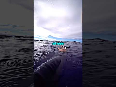 He Survived 438 Days Lost At Sea 🤯