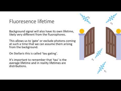 Introduction to Leica Stellaris at LMU