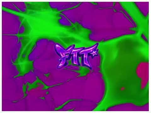 ftt* - TIER (Visualizer)