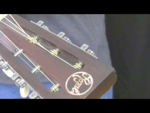 Regal Parlor Guitar Review