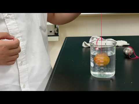 臨床生命科学科 【岡山理大附属高校】GSチャンネル08　GS生徒による理科実験part2