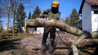 STIHL MS 201 T C-M